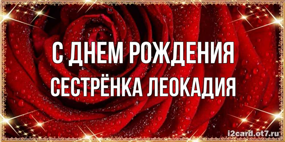 Открытка на каждый день с именем, Сестрёнка-Леокадия С днем рождения роса на розе блестящая в лучах солнца Прикольная открытка с пожеланием онлайн скачать бесплатно 