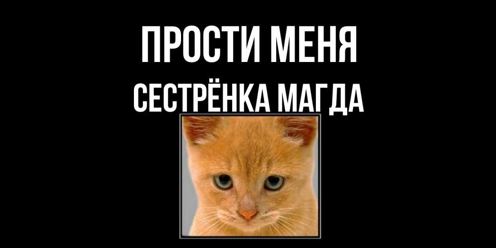 Открытка на каждый день с именем, Сестрёнка-Магда Прости меня рыжий грустный кот просит прощения Прикольная открытка с пожеланием онлайн скачать бесплатно 