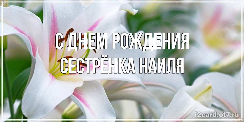 Открытка на каждый день с именем, Сестрёнка-Наиля С днем рождения открытка с белой лилией Прикольная открытка с пожеланием онлайн скачать бесплатно 