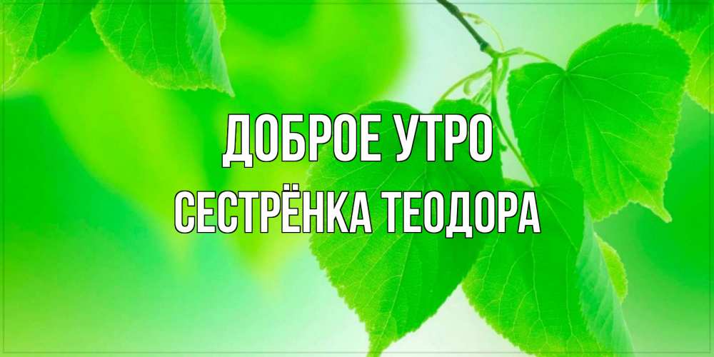 Открытка на каждый день с именем, Сестрёнка-Теодора Доброе утро доброе утро с березовыми листьями Прикольная открытка с пожеланием онлайн скачать бесплатно 