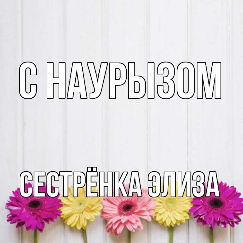 Открытка на каждый день с именем, Сестрёнка-Элиза С наурызом женщинам 1 Прикольная открытка с пожеланием онлайн скачать бесплатно 