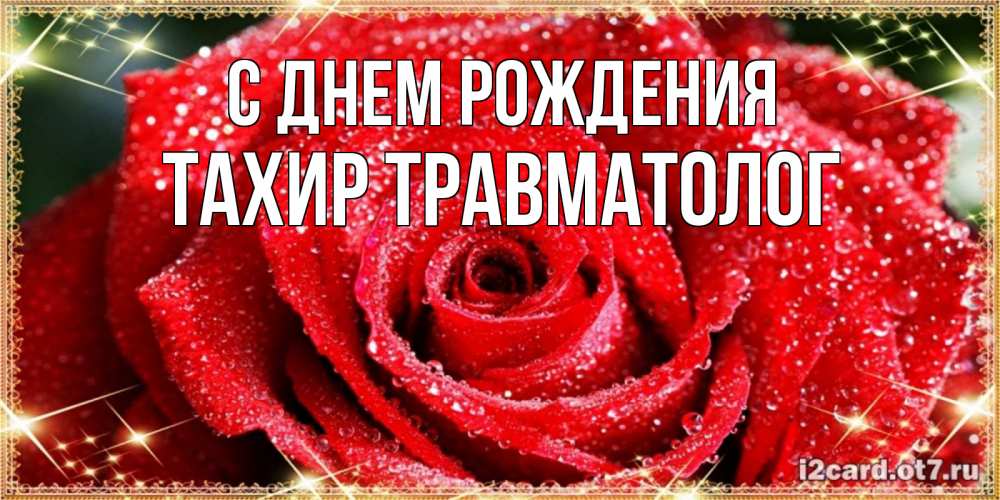 Открытка на каждый день с именем, Тахир-травматолог С днем рождения роса и роза. открытка с красивой розой Прикольная открытка с пожеланием онлайн скачать бесплатно 
