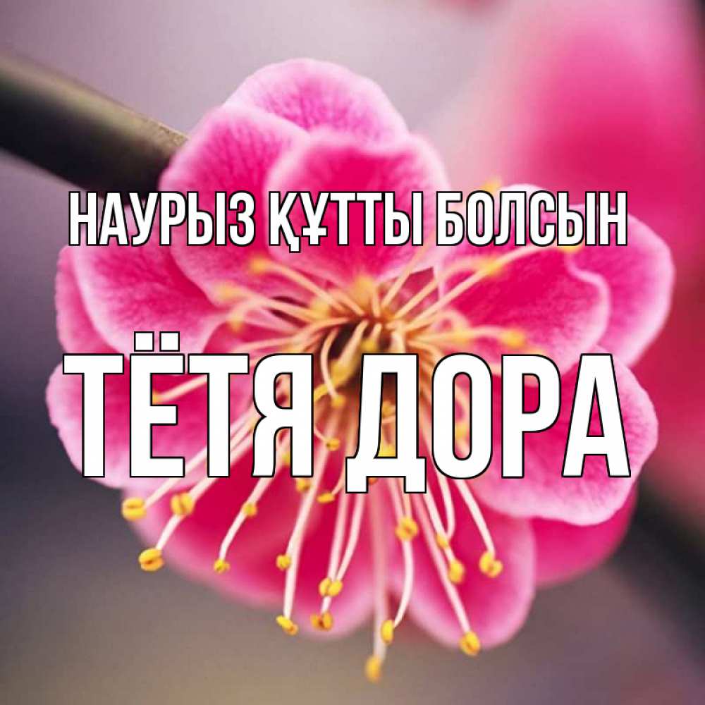 Открытка на каждый день с именем, Тётя-Дора Наурыз құтты болсын цветы Прикольная открытка с пожеланием онлайн скачать бесплатно 