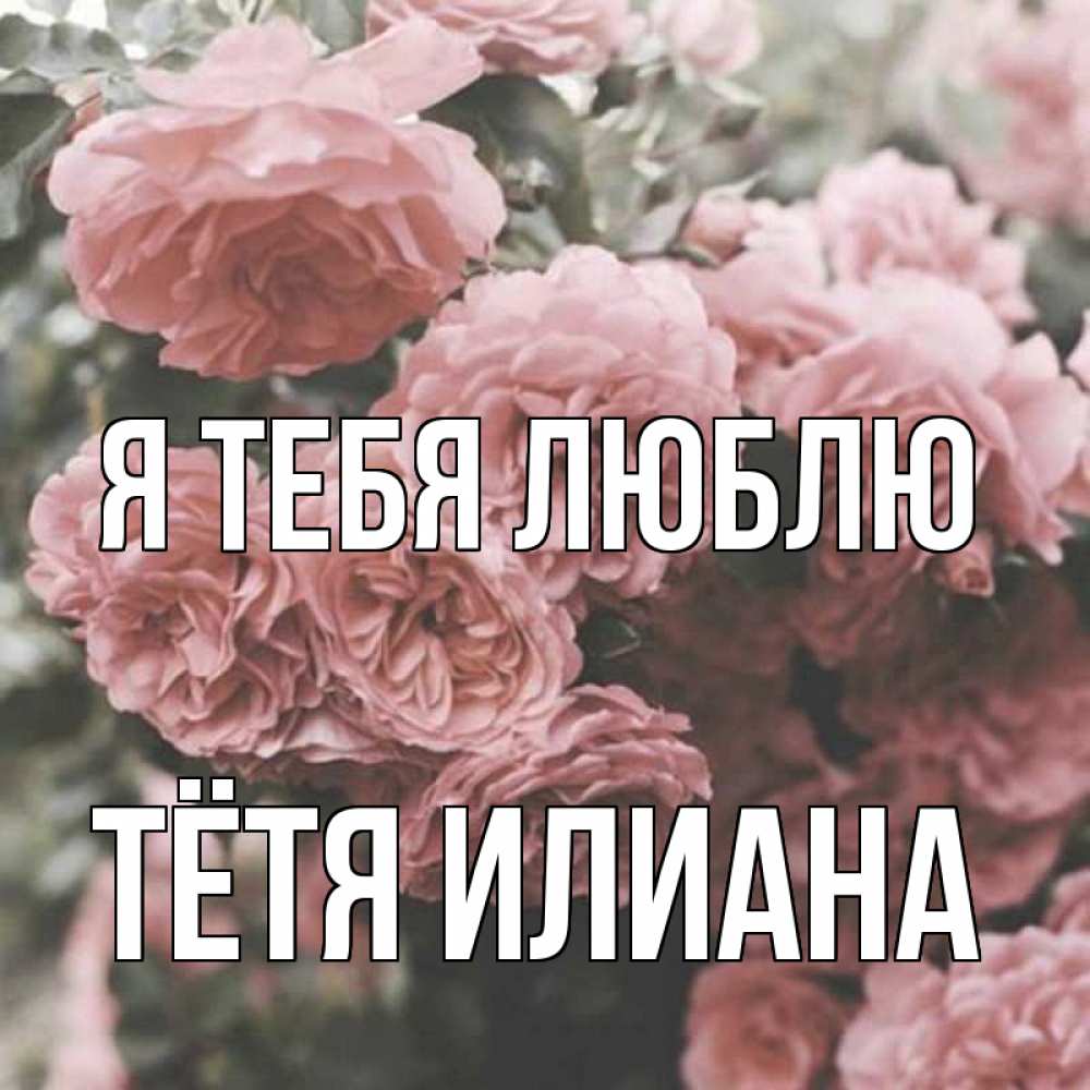 Открытка на каждый день с именем, Тётя-Илиана Я тебя люблю розы 3 Прикольная открытка с пожеланием онлайн скачать бесплатно 