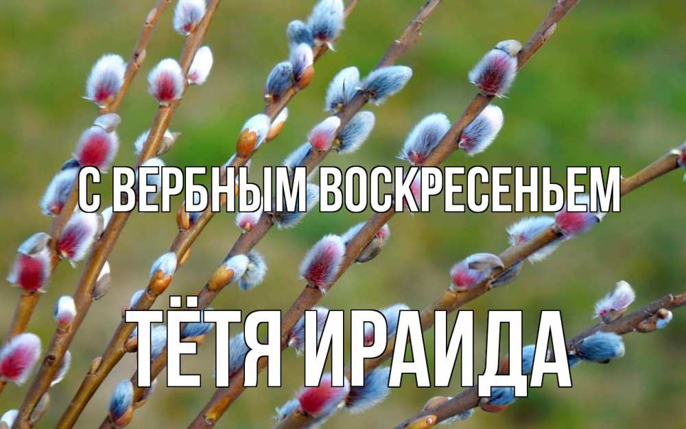 Открытка на каждый день с именем, Тётя-Ираида С вербным воскресеньем верба Прикольная открытка с пожеланием онлайн скачать бесплатно 