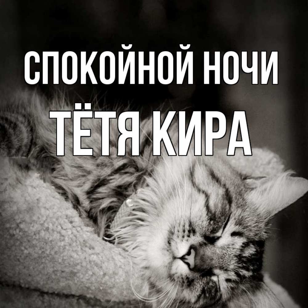 Открытка на каждый день с именем, Тётя-Кира Спокойной ночи котярик пушистый Прикольная открытка с пожеланием онлайн скачать бесплатно 