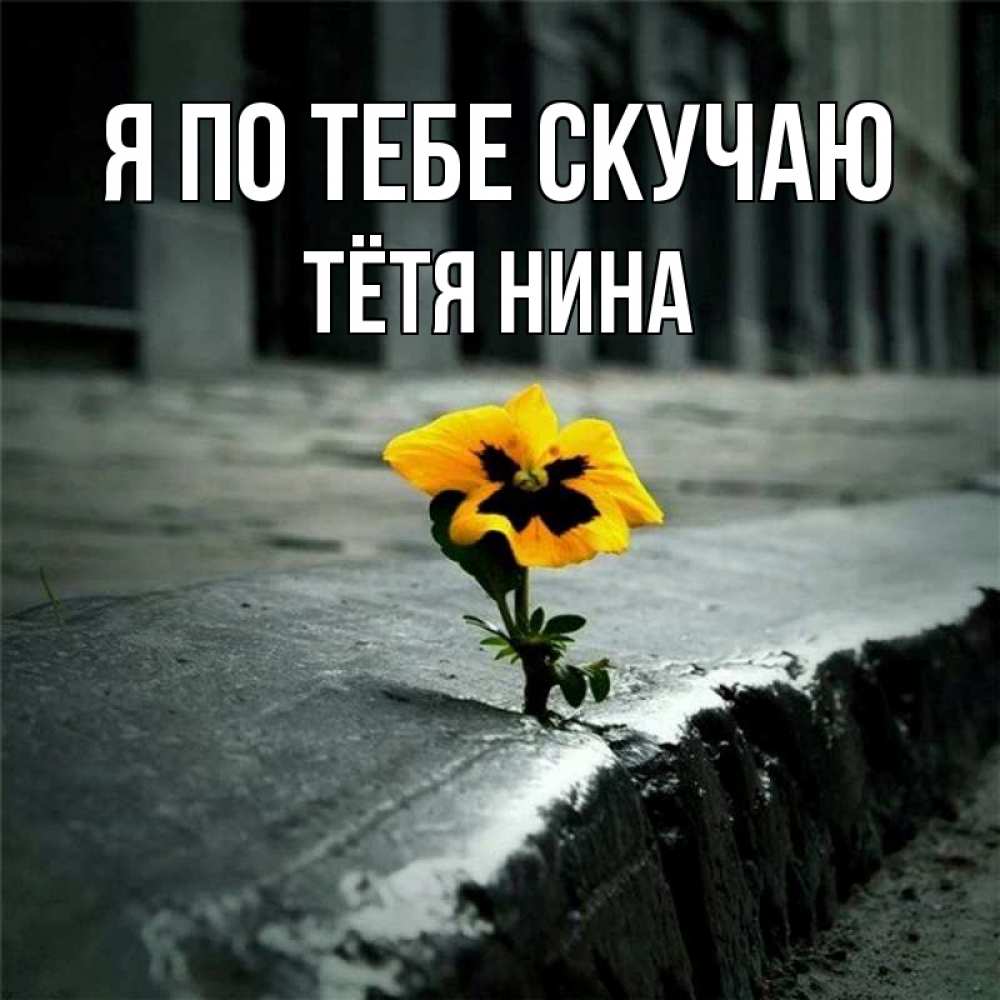 Открытка на каждый день с именем, Тётя-Нина Я по тебе скучаю надеюсь будет лучше Прикольная открытка с пожеланием онлайн скачать бесплатно 