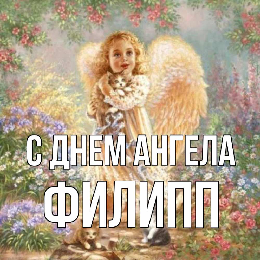 Открытка на каждый день с именем, Филипп С днем ангела держит котенка Прикольная открытка с пожеланием онлайн скачать бесплатно 