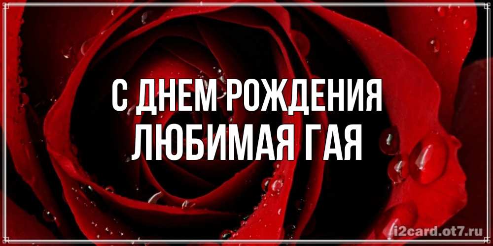 Открытка на каждый день с именем, любимая-ГаЯ С днем рождения крупная бордовая роза Прикольная открытка с пожеланием онлайн скачать бесплатно 