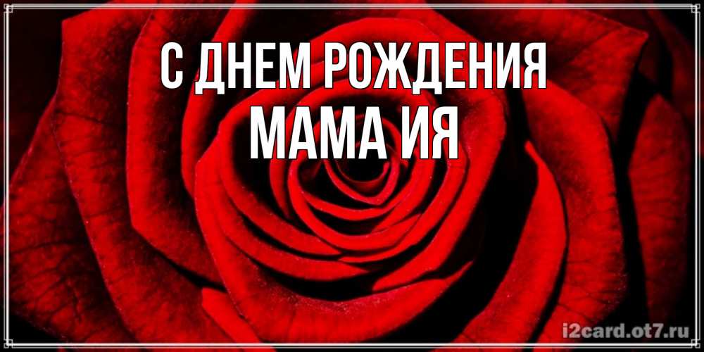 Открытка на каждый день с именем, Мама-Ия С днем рождения алая роза Прикольная открытка с пожеланием онлайн скачать бесплатно 