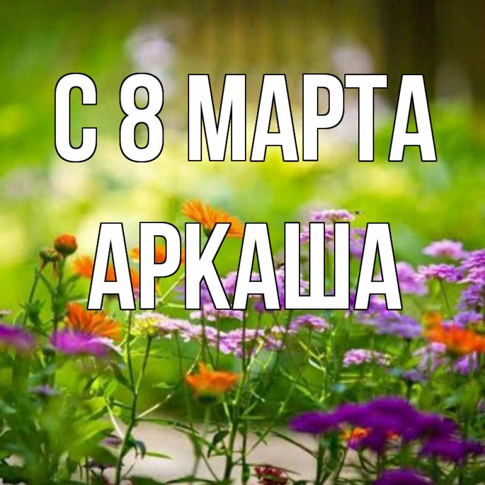 Открытка на каждый день с именем, Аркаша С 8 марта цветы Прикольная открытка с пожеланием онлайн скачать бесплатно 