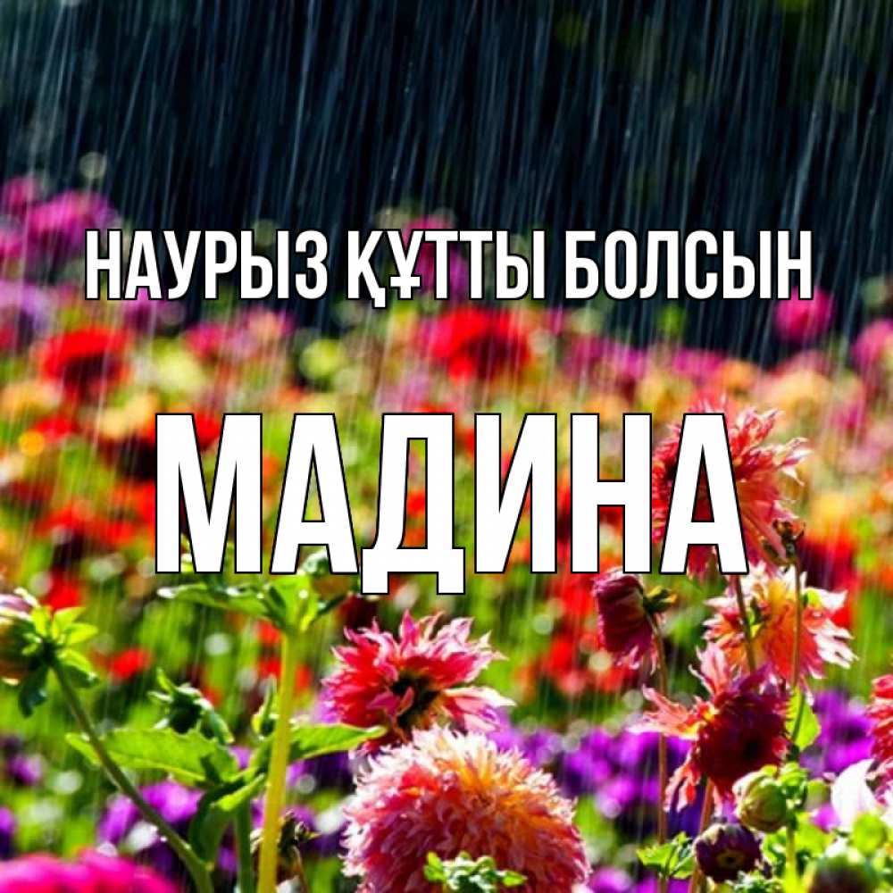 Открытка на каждый день с именем, Мадина Наурыз құтты болсын цветы под дождиком к наурызу Прикольная открытка с пожеланием онлайн скачать бесплатно 