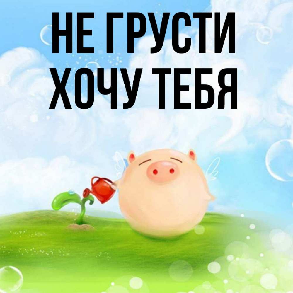 Открытка на каждый день с именем, Хочу-тебя Не грусти поливает цветок порося Прикольная открытка с пожеланием онлайн скачать бесплатно 