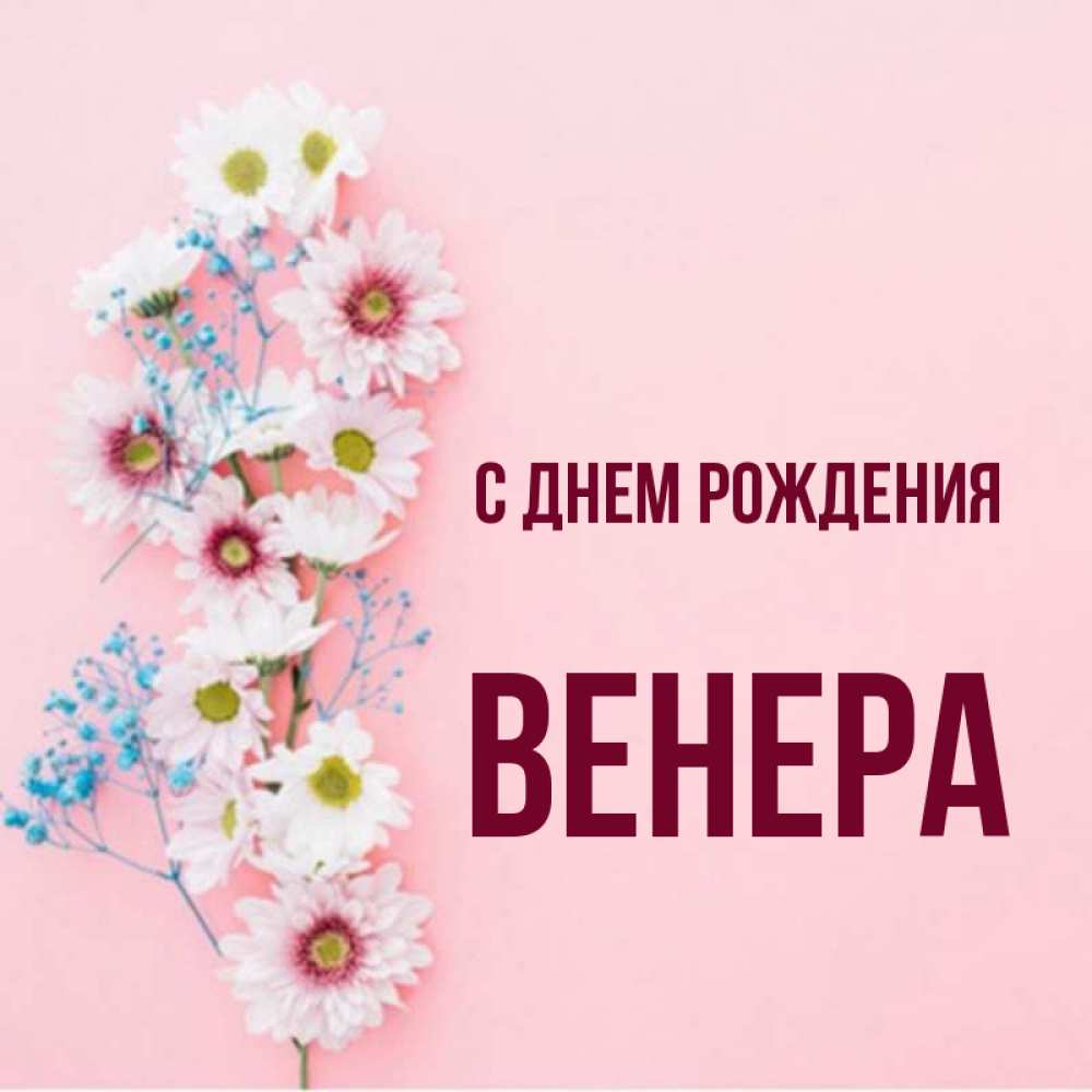 Картинка имя венера