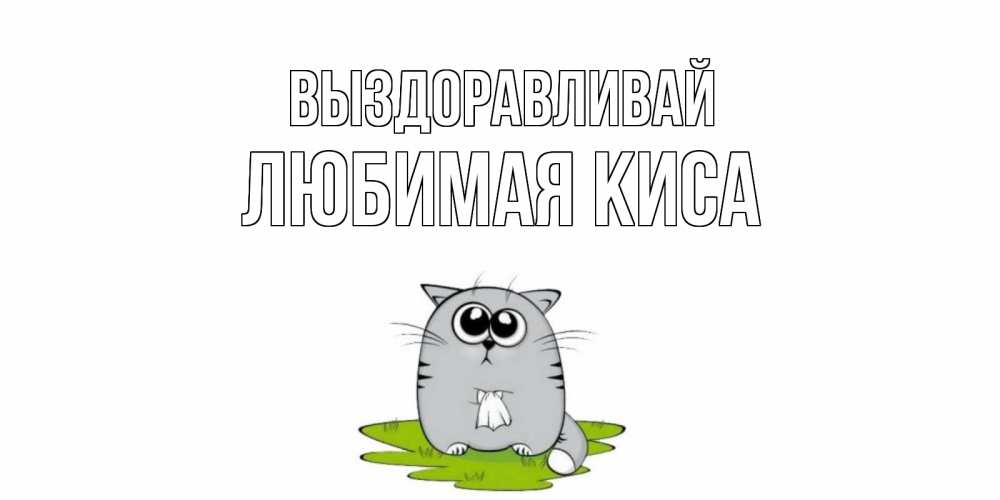 Цветы, открытка любимой кисе
