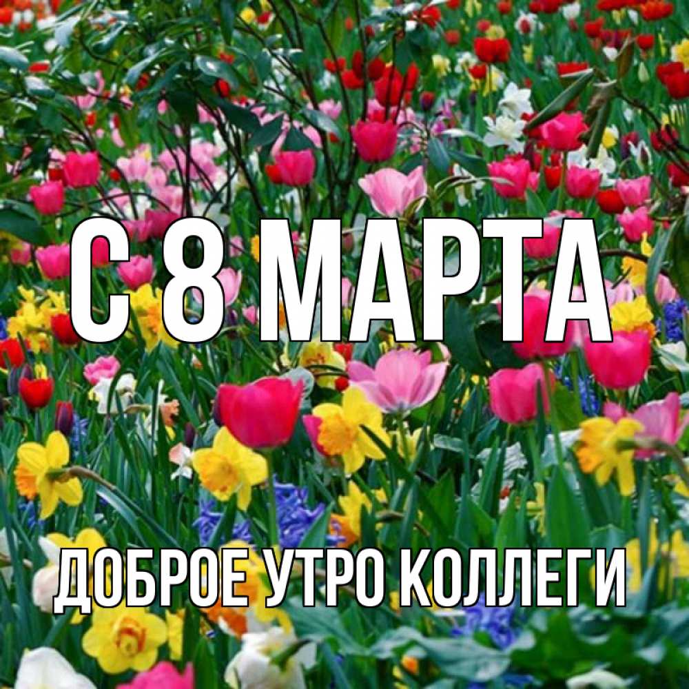 Открытка на каждый день с именем, Доброе-утро-Коллеги С 8 марта с международным женским днем поздравления для женщины Прикольная открытка с пожеланием онлайн скачать бесплатно 
