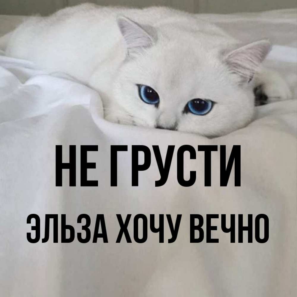 Вечно хочу