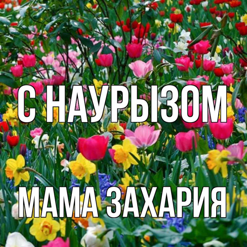 Открытка на каждый день с именем, Мама-Захария С наурызом с наурызом праздником весны поздравления для женщины Прикольная открытка с пожеланием онлайн скачать бесплатно 