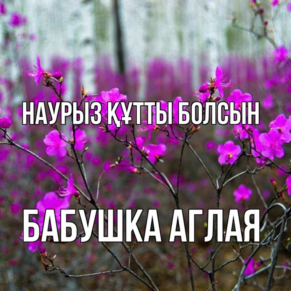 Открытка на каждый день с именем, Бабушка-Аглая Наурыз құтты болсын дикие цветы Прикольная открытка с пожеланием онлайн скачать бесплатно 