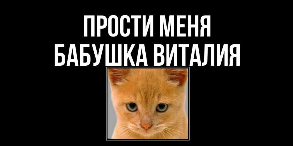 Открытка на каждый день с именем, Бабушка-Виталия Прости меня рыжий грустный кот просит прощения Прикольная открытка с пожеланием онлайн скачать бесплатно 