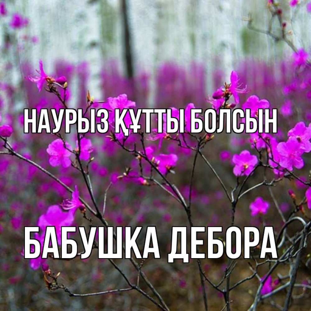 Открытка на каждый день с именем, Бабушка-Дебора Наурыз құтты болсын дикие цветы Прикольная открытка с пожеланием онлайн скачать бесплатно 