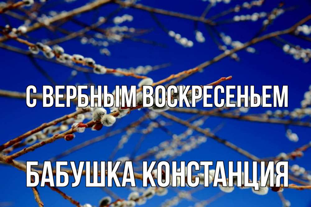 Открытка на каждый день с именем, Бабушка-Констанция С вербным воскресеньем верба Прикольная открытка с пожеланием онлайн скачать бесплатно 
