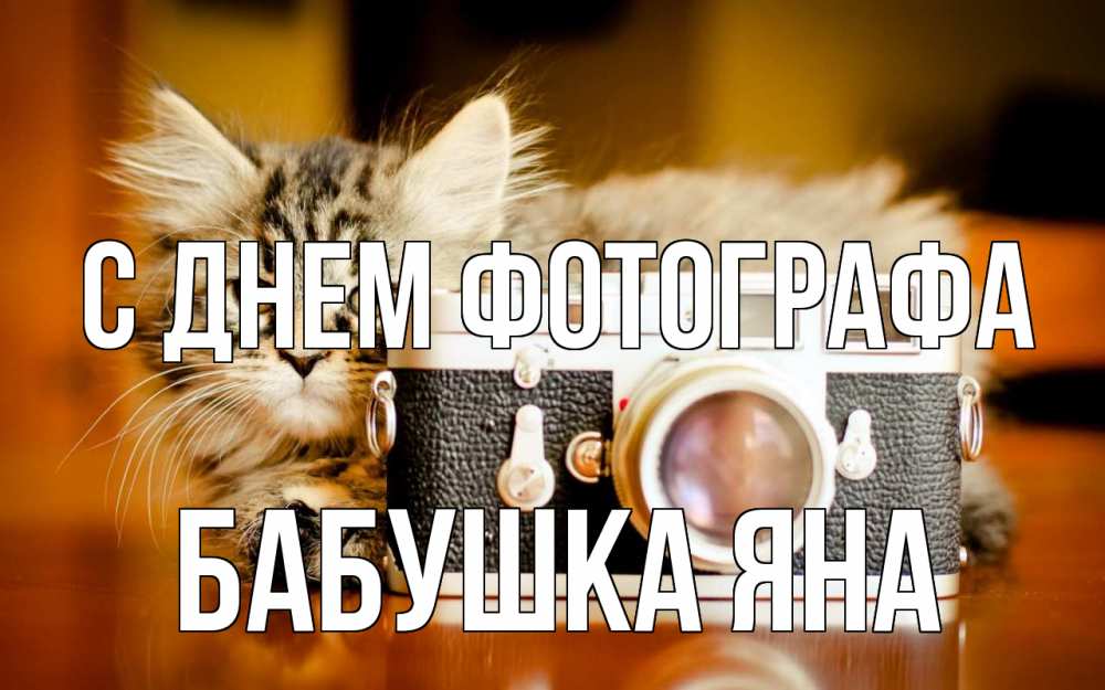 Открытка на каждый день с именем, Бабушка-Яна С днем фотографа с днем фотографа Прикольная открытка с пожеланием онлайн скачать бесплатно 