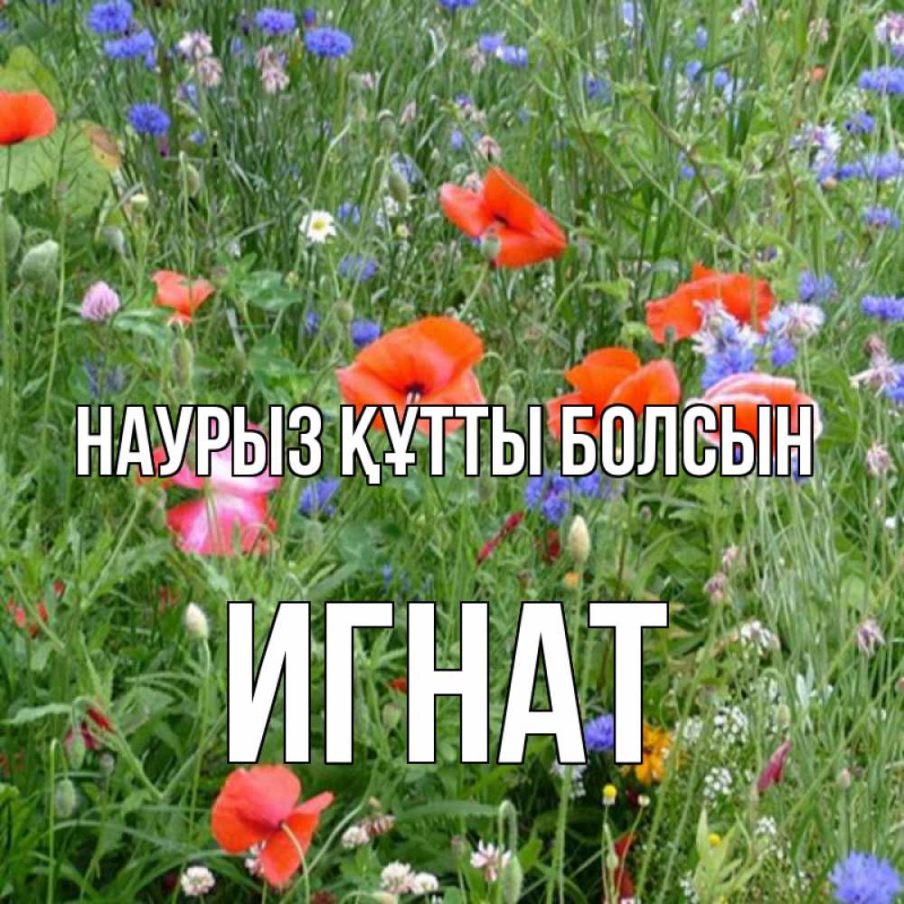 Открытка на каждый день с именем, Игнат Наурыз құтты болсын наурыз  4 Прикольная открытка с пожеланием онлайн скачать бесплатно 
