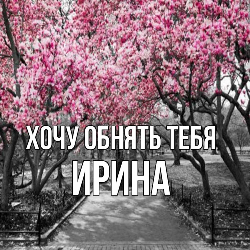 Открытка на каждый день с именем, Ирина Хочу обнять тебя обработанное фото Прикольная открытка с пожеланием онлайн скачать бесплатно 