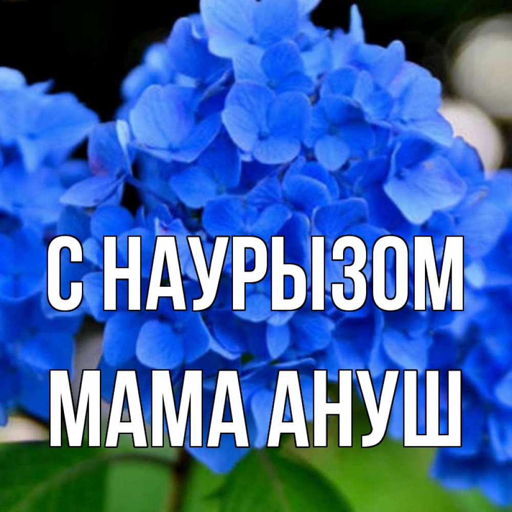 Открытка на каждый день с именем, Мама-Ануш С наурызом синие цветы Прикольная открытка с пожеланием онлайн скачать бесплатно 