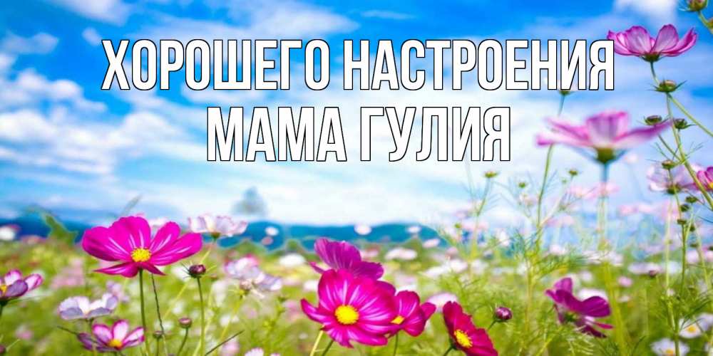 Открытка на каждый день с именем, Мама-Гулия Хорошего настроения поле цветов Прикольная открытка с пожеланием онлайн скачать бесплатно 