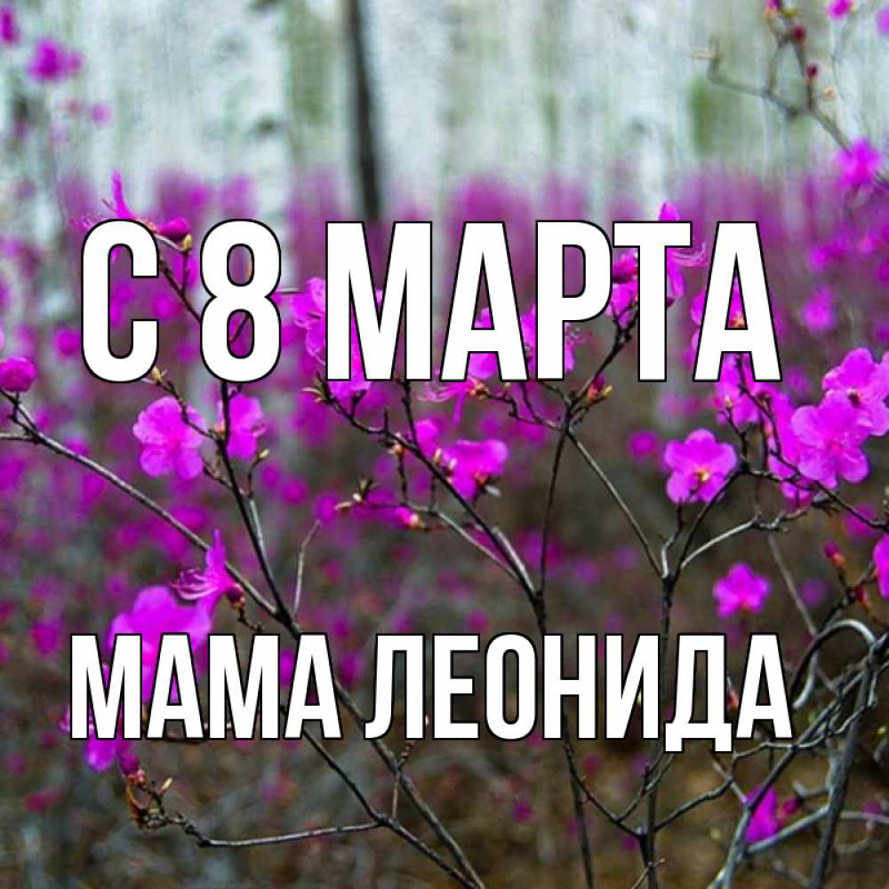 Открытка на каждый день с именем, Мама-Леонида С 8 МАРТА дикие цветы Прикольная открытка с пожеланием онлайн скачать бесплатно 