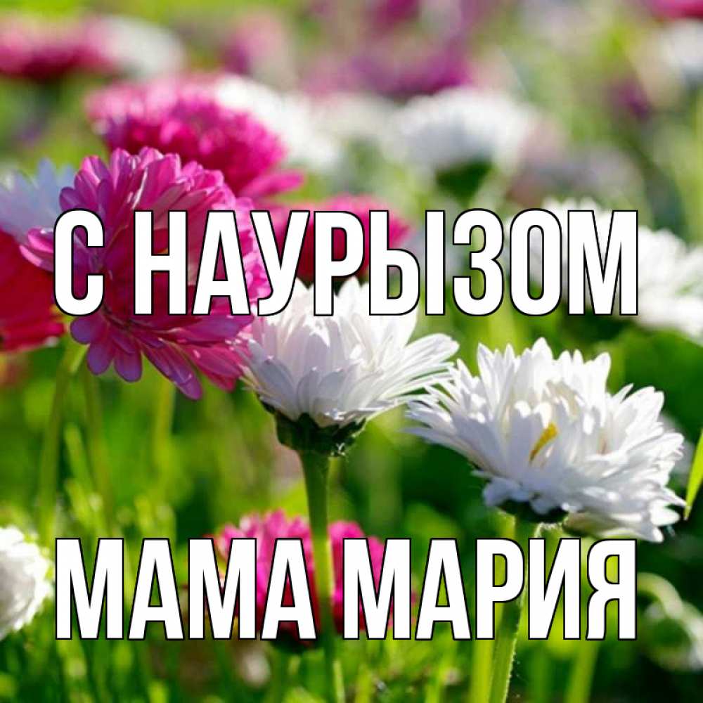 Открытка на каждый день с именем, Мама-Мария С наурызом праздник весны наурыз красота Прикольная открытка с пожеланием онлайн скачать бесплатно 