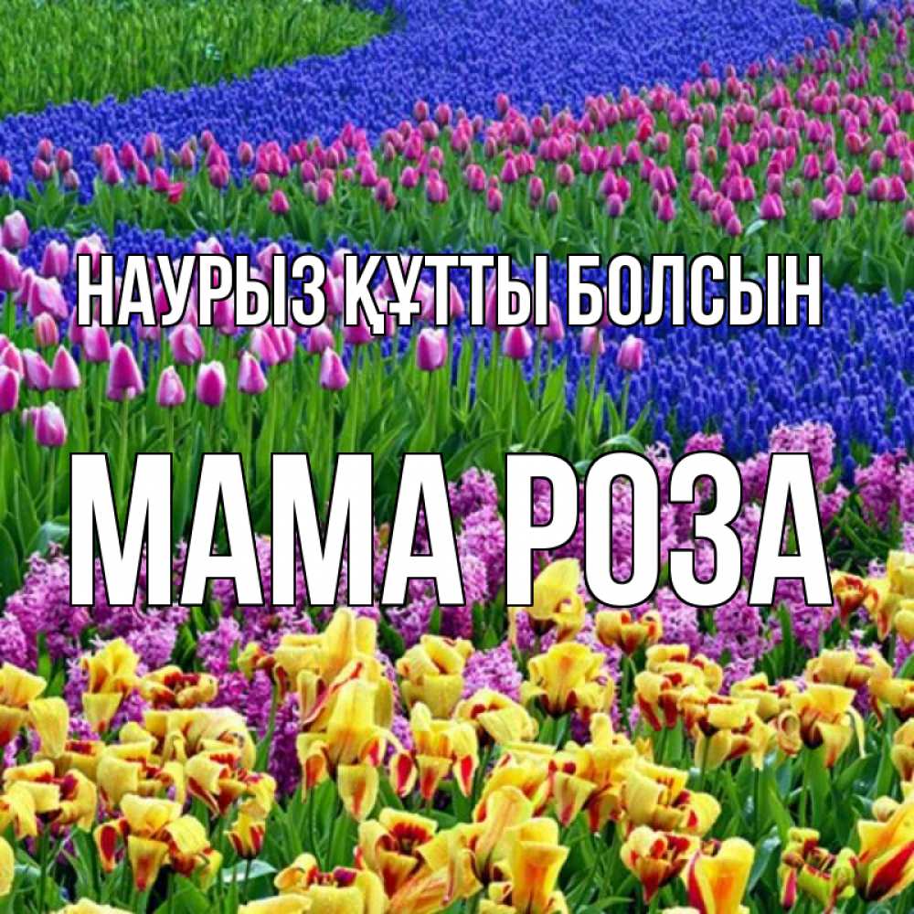 Открытка на каждый день с именем, Мама-Роза Наурыз құтты болсын цветы Прикольная открытка с пожеланием онлайн скачать бесплатно 