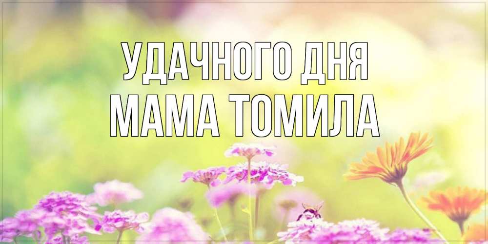 Открытка на каждый день с именем, Мама-Томила Удачного дня красивая открытка с летней темой Прикольная открытка с пожеланием онлайн скачать бесплатно 