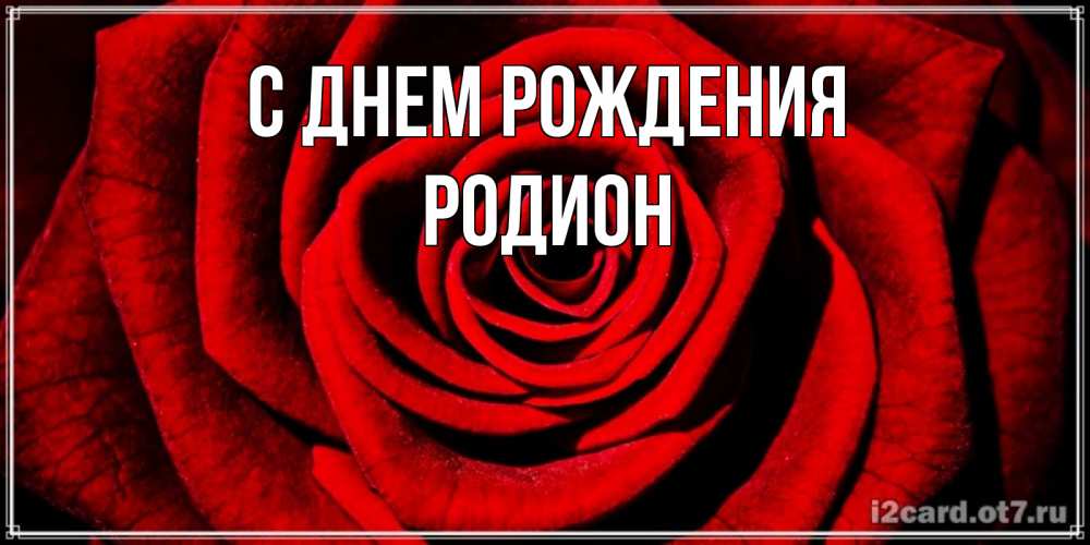 Открытка на каждый день с именем, Родион С днем рождения алая роза Прикольная открытка с пожеланием онлайн скачать бесплатно 