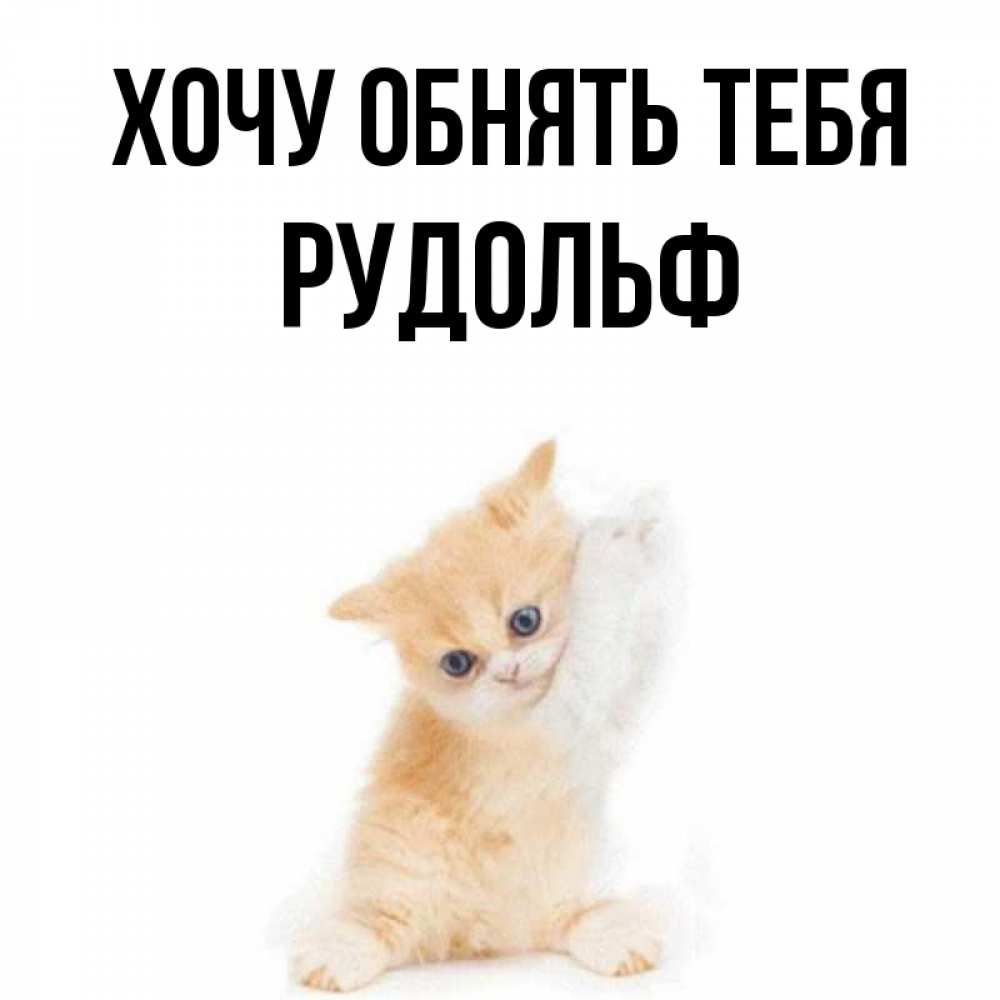 Открытка на каждый день с именем, Рудольф Хочу обнять тебя я хочу очень скорее обнимаешек Прикольная открытка с пожеланием онлайн скачать бесплатно 