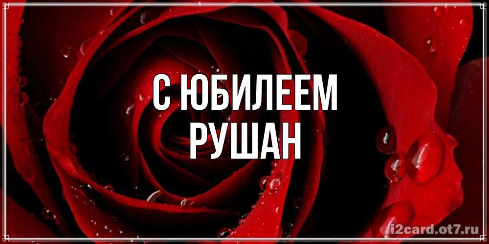 Открытка на каждый день с именем, Рушан С юбилеем крупная бордовая роза Прикольная открытка с пожеланием онлайн скачать бесплатно 