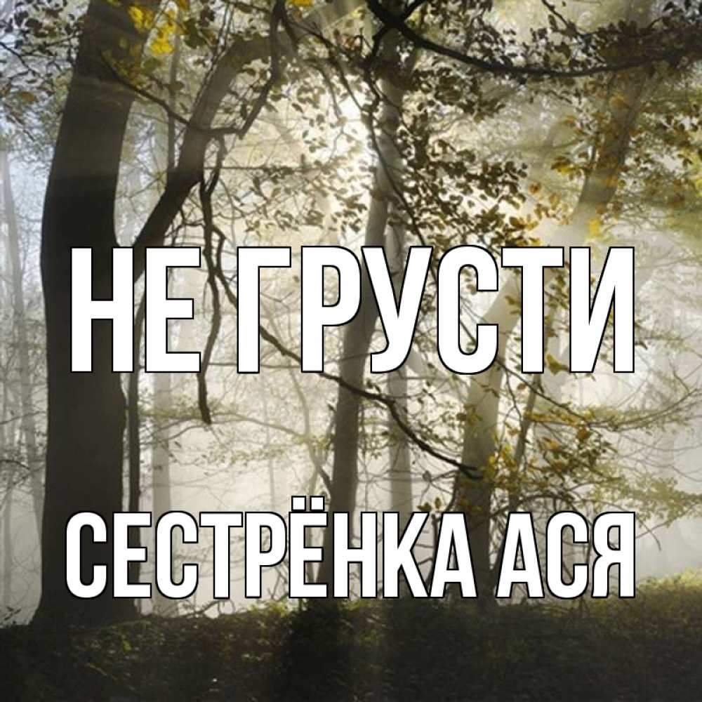 Открытка на каждый день с именем, Сестрёнка-Ася Не грусти лес и свет Прикольная открытка с пожеланием онлайн скачать бесплатно 