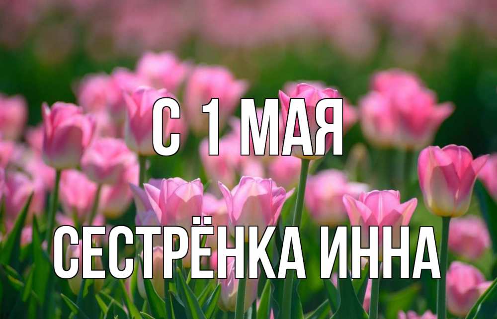 Открытка на каждый день с именем, Сестрёнка-Инна С 1 мая С 1 мая Прикольная открытка с пожеланием онлайн скачать бесплатно 