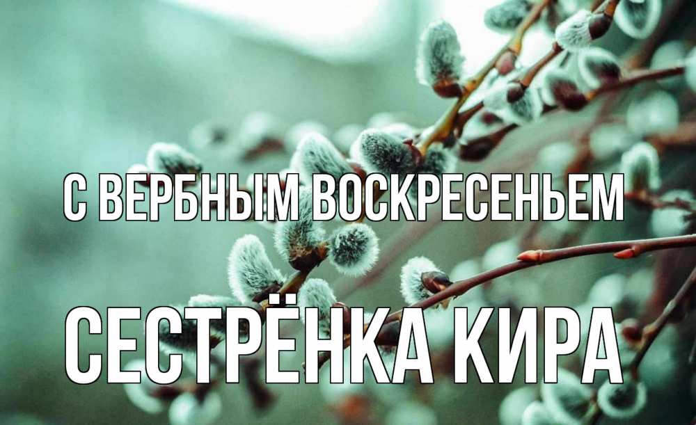 Открытка на каждый день с именем, Сестрёнка-Кира С вербным воскресеньем верба Прикольная открытка с пожеланием онлайн скачать бесплатно 