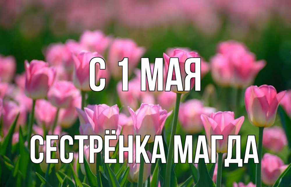 Открытка на каждый день с именем, Сестрёнка-Магда С 1 мая С 1 мая Прикольная открытка с пожеланием онлайн скачать бесплатно 