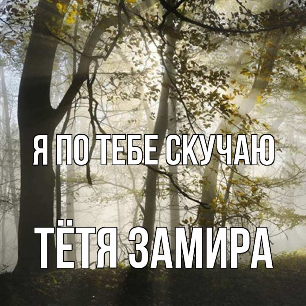 Открытка на каждый день с именем, Тётя-Замира Я по тебе скучаю грустно Прикольная открытка с пожеланием онлайн скачать бесплатно 