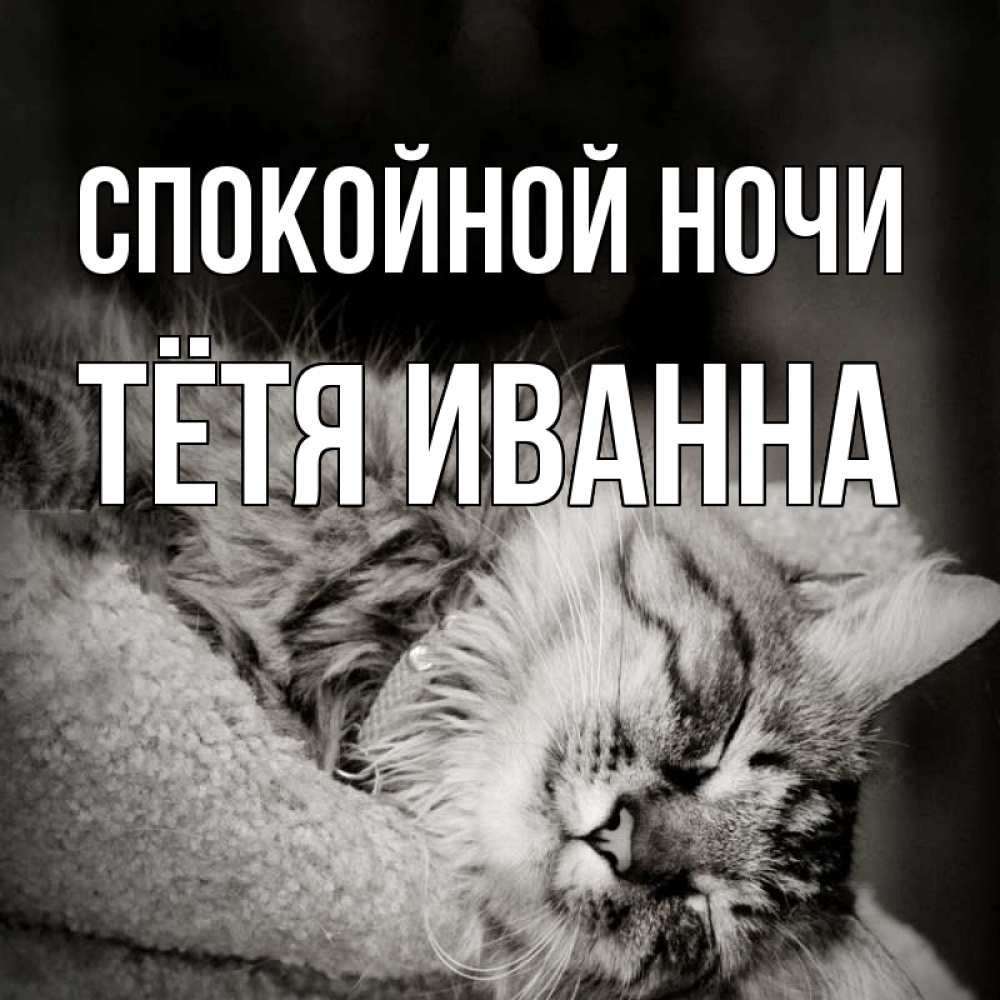 Открытка на каждый день с именем, Тётя-Иванна Спокойной ночи котярик пушистый Прикольная открытка с пожеланием онлайн скачать бесплатно 