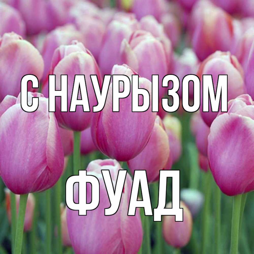 Открытка на каждый день с именем, Фуад С наурызом праздник весны наурыз 69 Прикольная открытка с пожеланием онлайн скачать бесплатно 