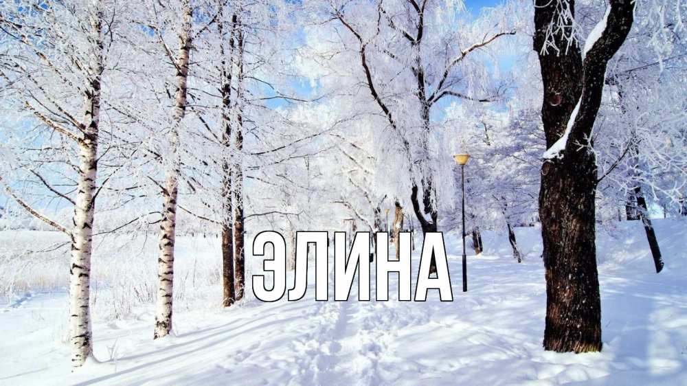 Открытка на каждый день с именем, Элина Главная зимний лес Прикольная открытка с пожеланием онлайн скачать бесплатно 