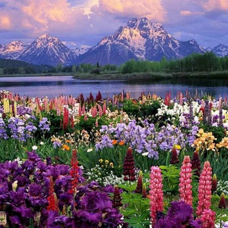 Открытка горные цветы  праздник весны наурыз С наурызом 