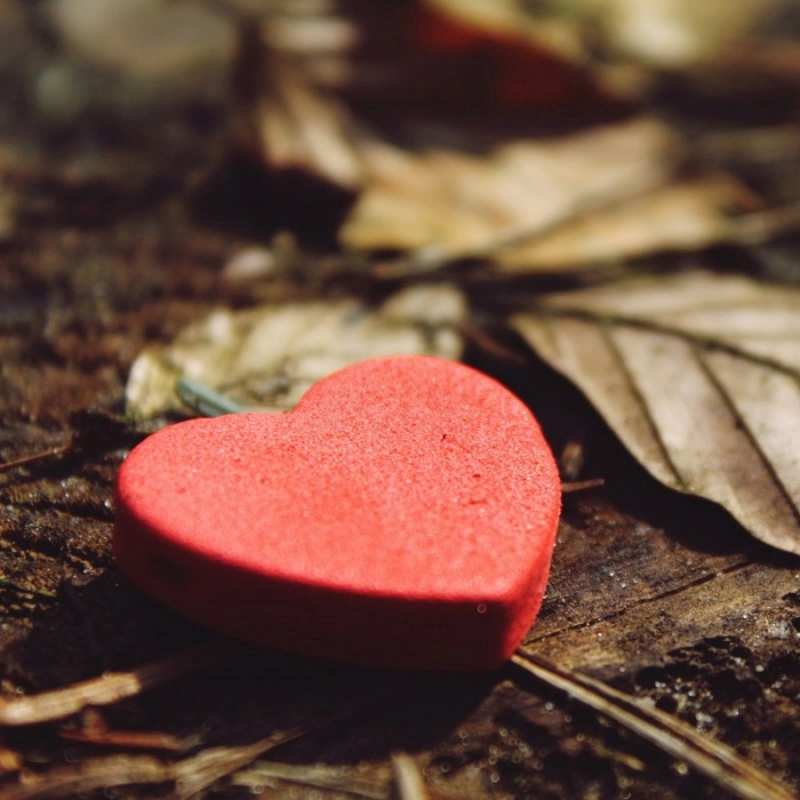 Открытка сердце 4 листья деревье 4 Я тебя люблю 