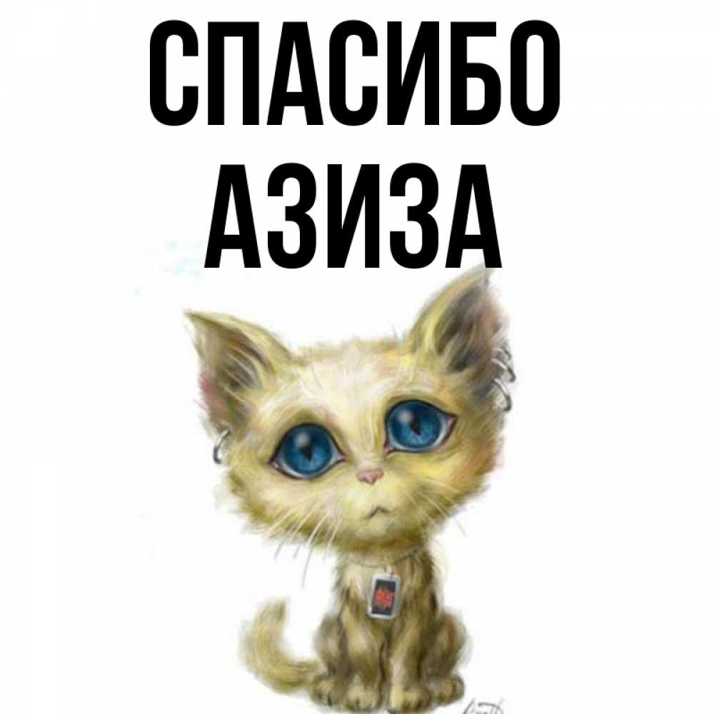 Открытка на каждый день с именем, Азиза Спасибо рисованный кот благодарит вас Прикольная открытка с пожеланием онлайн скачать бесплатно 
