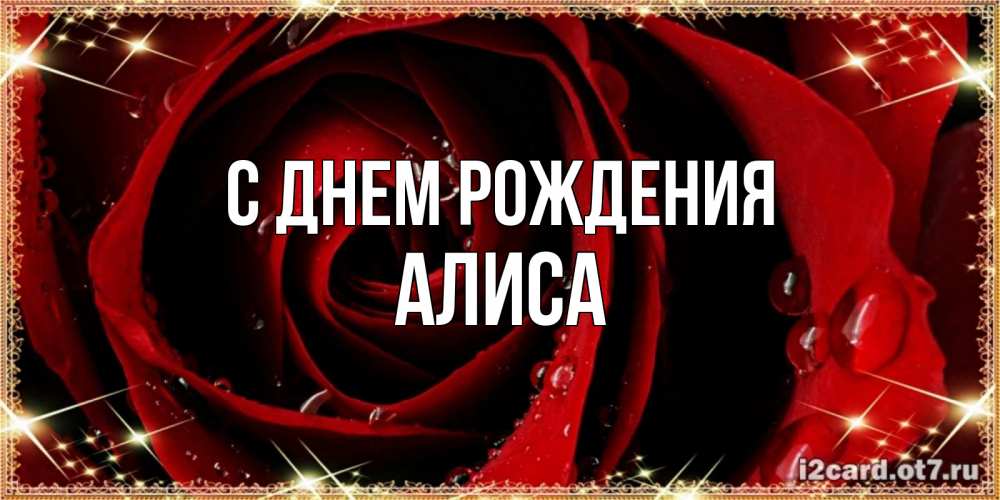 Открытка на каждый день с именем, Алиса С днем рождения цветок в росе на день рождения Прикольная открытка с пожеланием онлайн скачать бесплатно 